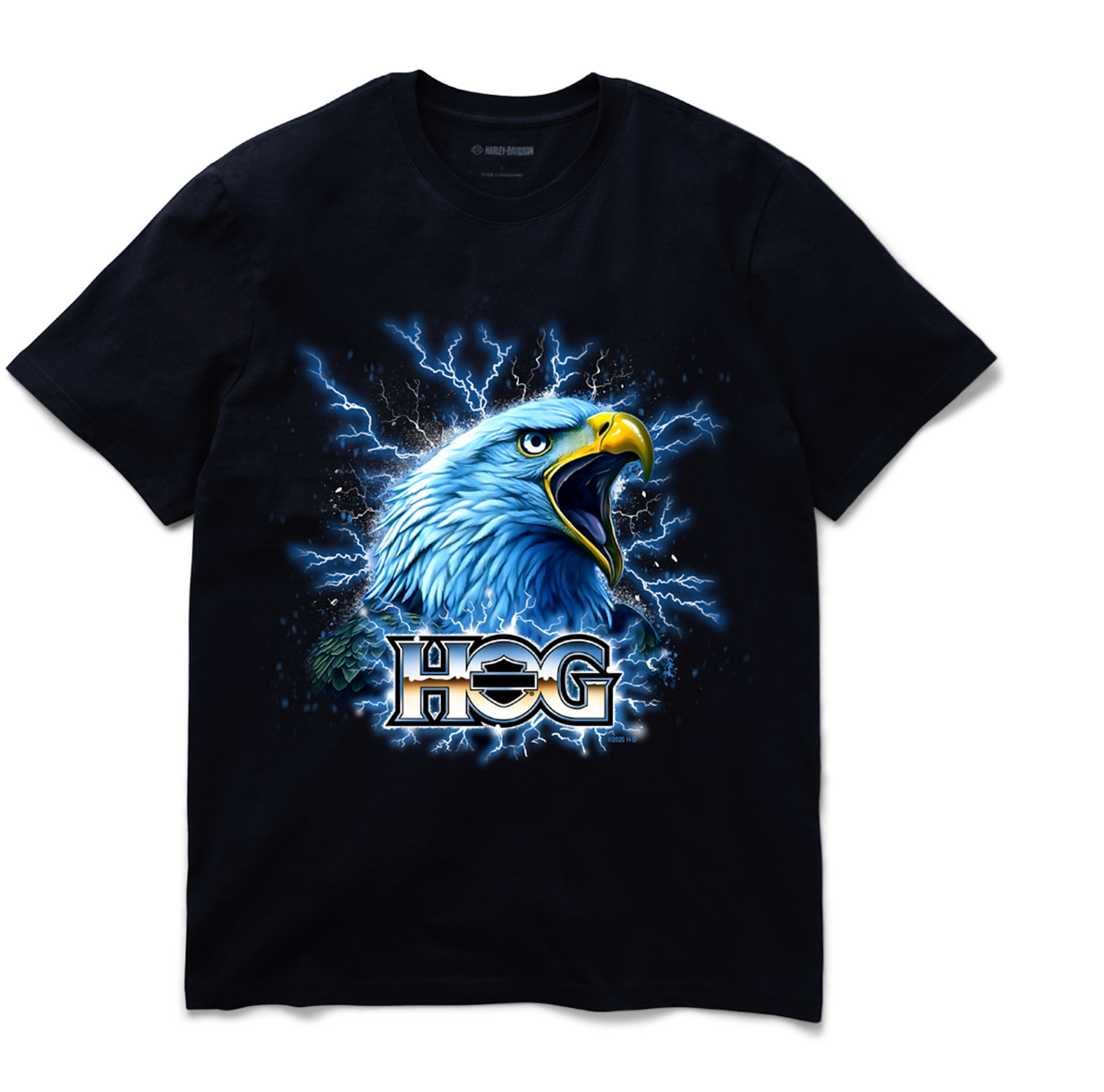 Electric Eagle H.O.G. ® Short Sleeve Graphic Tee